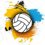 volleyball-logo