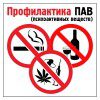 ПАВ лого 100 100